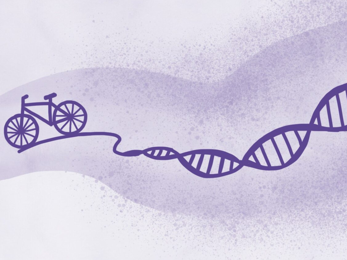 Zes maanden bewegen vermindert de veroudering met 8 maanden