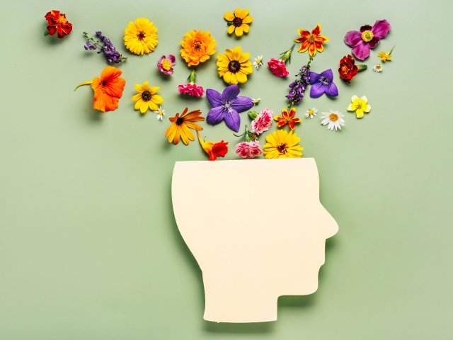 Geestelijke gezondheid bij ouderen vanuit bio-psycho-sociale invalshoek