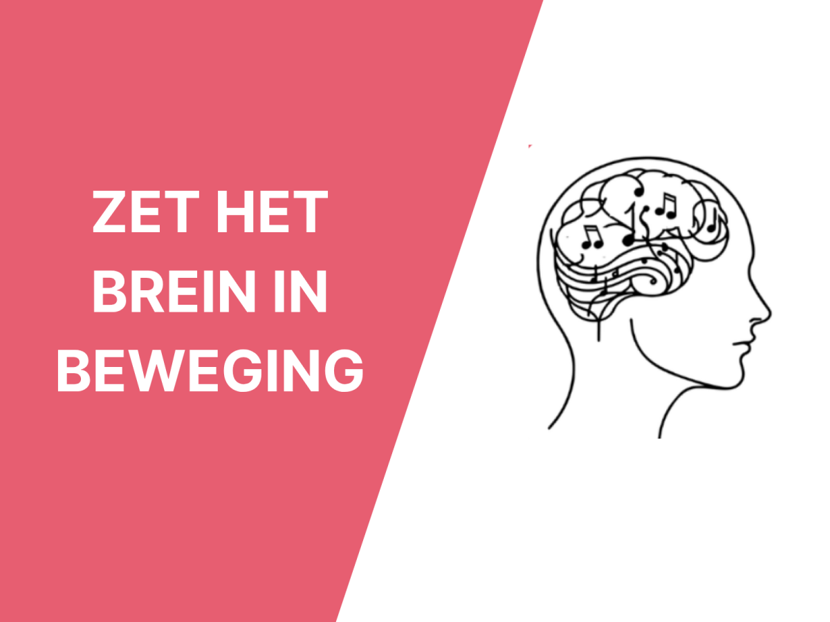 Hoe train jij het brein? Opleiding voor professionals