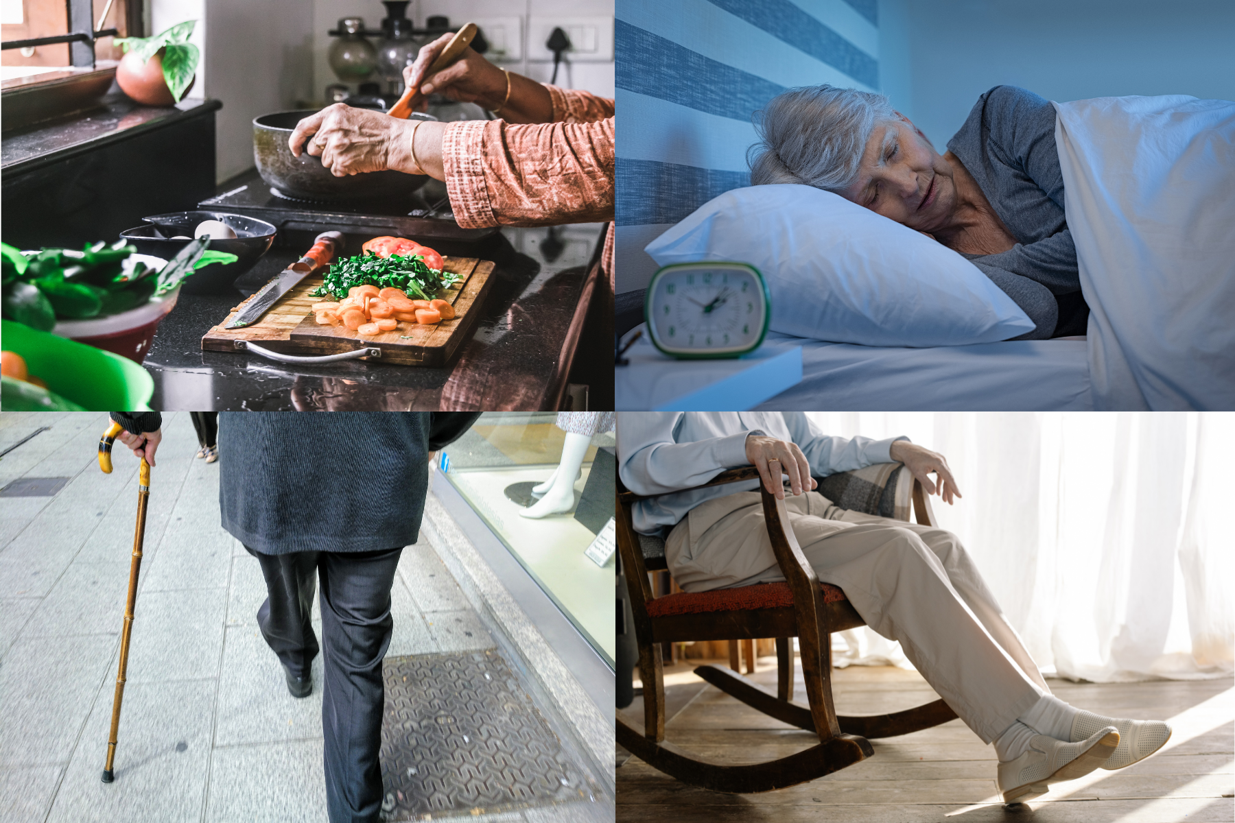 Leefwijzer 55+